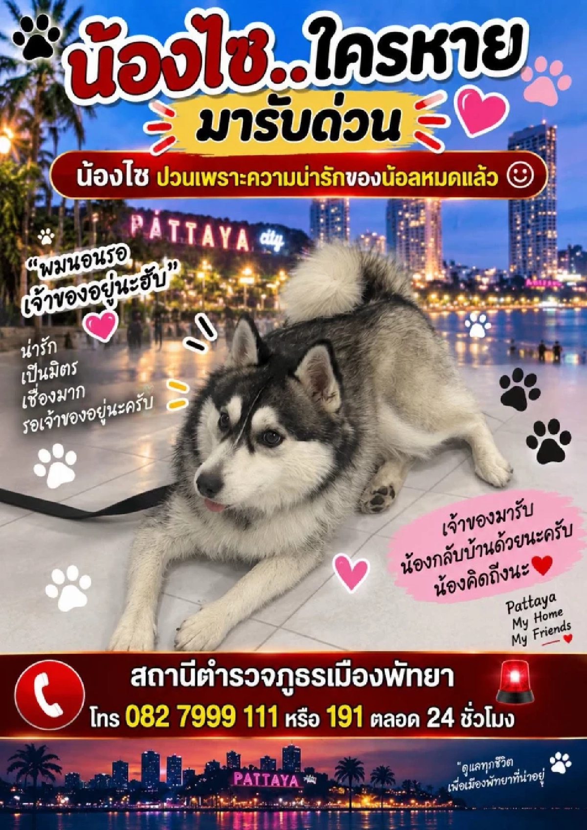 หมาไซบีเรียน ใครหาย มารับด่วน! สภ.เมืองพัทยา โพสต์ตามหาเจ้าของ
