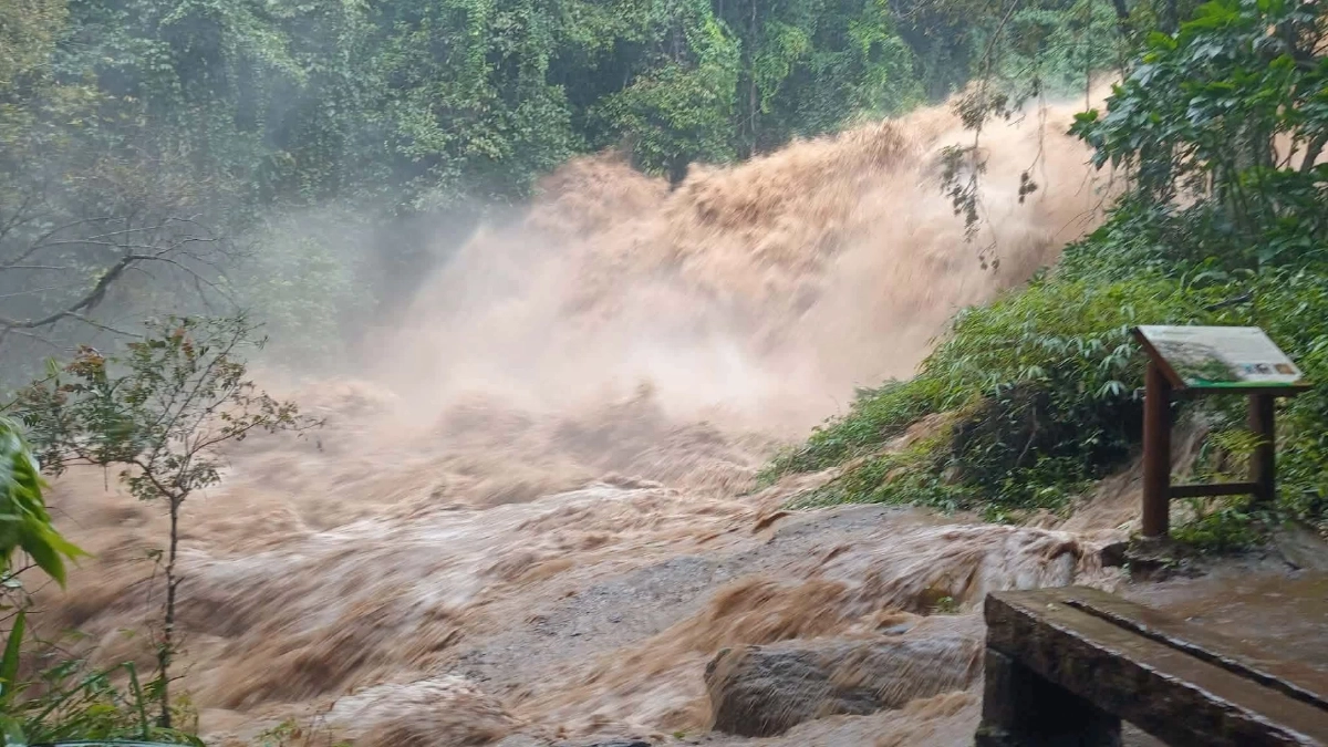 เตือนนักท่องเที่ยว! ปิด "ผาดอกเสี้ยว-น้ำตกแม่ยะ" ชั่วคราว หลังฝนตกหนัก