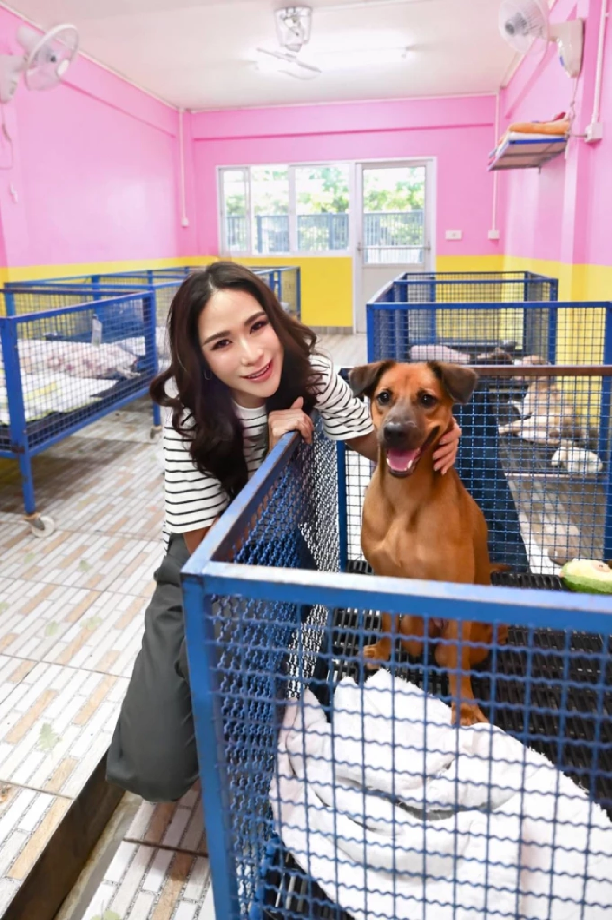 "พลอย เฌอมาลย์" สวยใจฟู มอบทุนให้มูลนิธิ "เก๋ ชลลดา" ช่วยสุนัขและแมวจรจัด