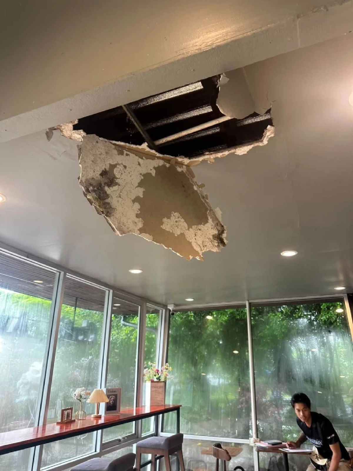 ขวัญเอยขวัญมา! แม่-ลูกแมว 3 ตัว ร่วงทะลุฝ้าร้านกาแฟ คอหวยแห่ตีเลข