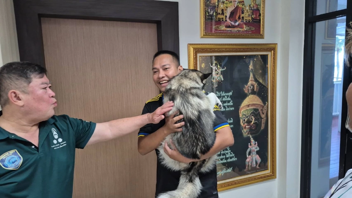 ตำรวจเหงาแย่! "หมู่ไซ" สุนัขไซบีเรียน พลัดหลง ได้กลับบ้านแล้ว