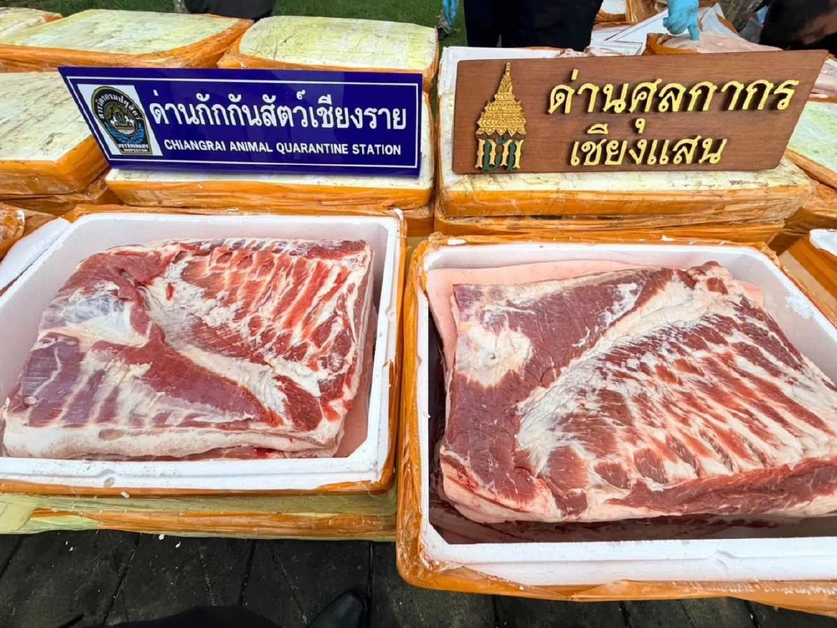 สวมรอยสำแดงเป็น 'ผักสด'! ลุยจับหมูเถื่อน ลอบนำเข้าจากจีน กว่า 16.5 ตัน