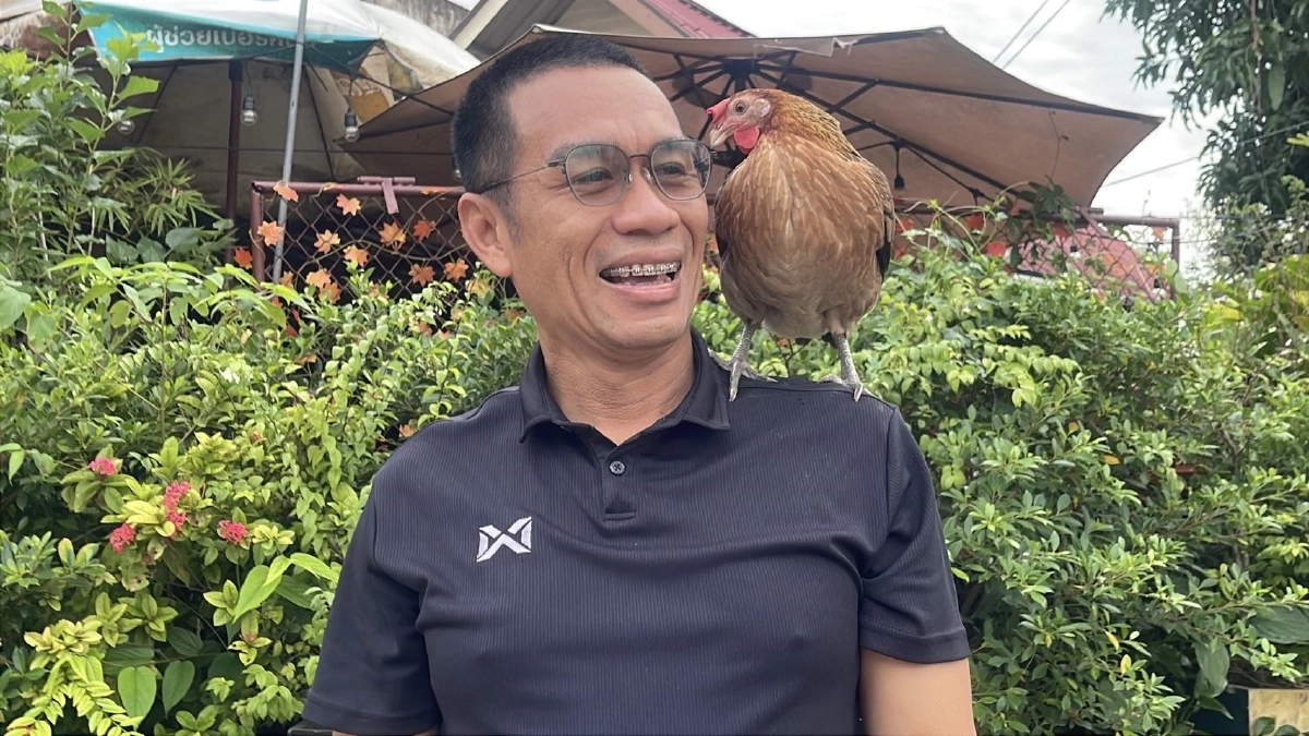 เอ็นดู! "น้องบุญลอย" ไก่ป่าแสนรู้ เกาะไหล่เจ้าของแว้นไป "ใส่บาตร" ทุกเช้า