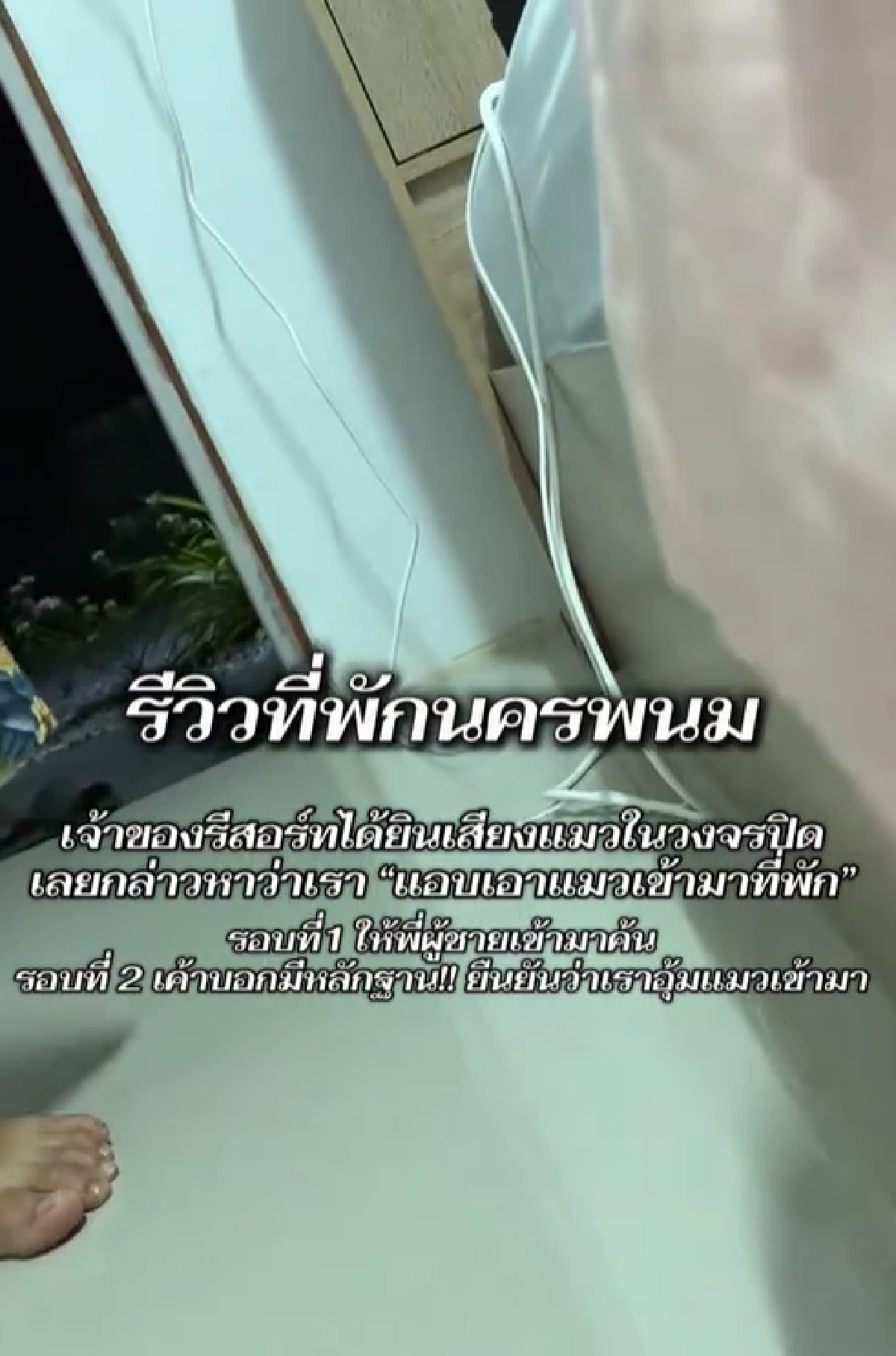 เจ้าของรีสอร์ต เตรียมแจ้งความ "มะปรางลองเบิ่ง" ยัน พบขนแมวตกในห้อง