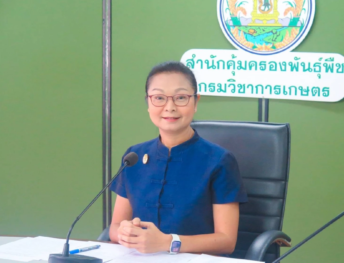 สยบดราม่ากะเพรา! กาง 107 รายชื่อพืช ยื่นจดทะเบียนพันธุ์พืชใหม่ได้ตามกฎหมาย
