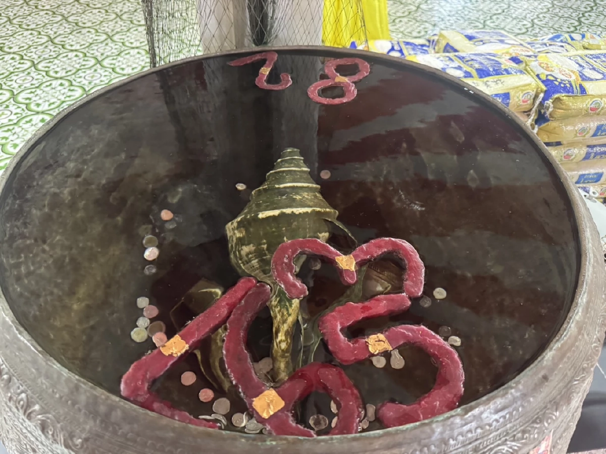 สายมูคึกคัก! พาส่องเลข อ่างน้ำมนต์ “อาศรมฤาษีเณร” เผยเลขเด่น 6 ตัวเน้นๆ