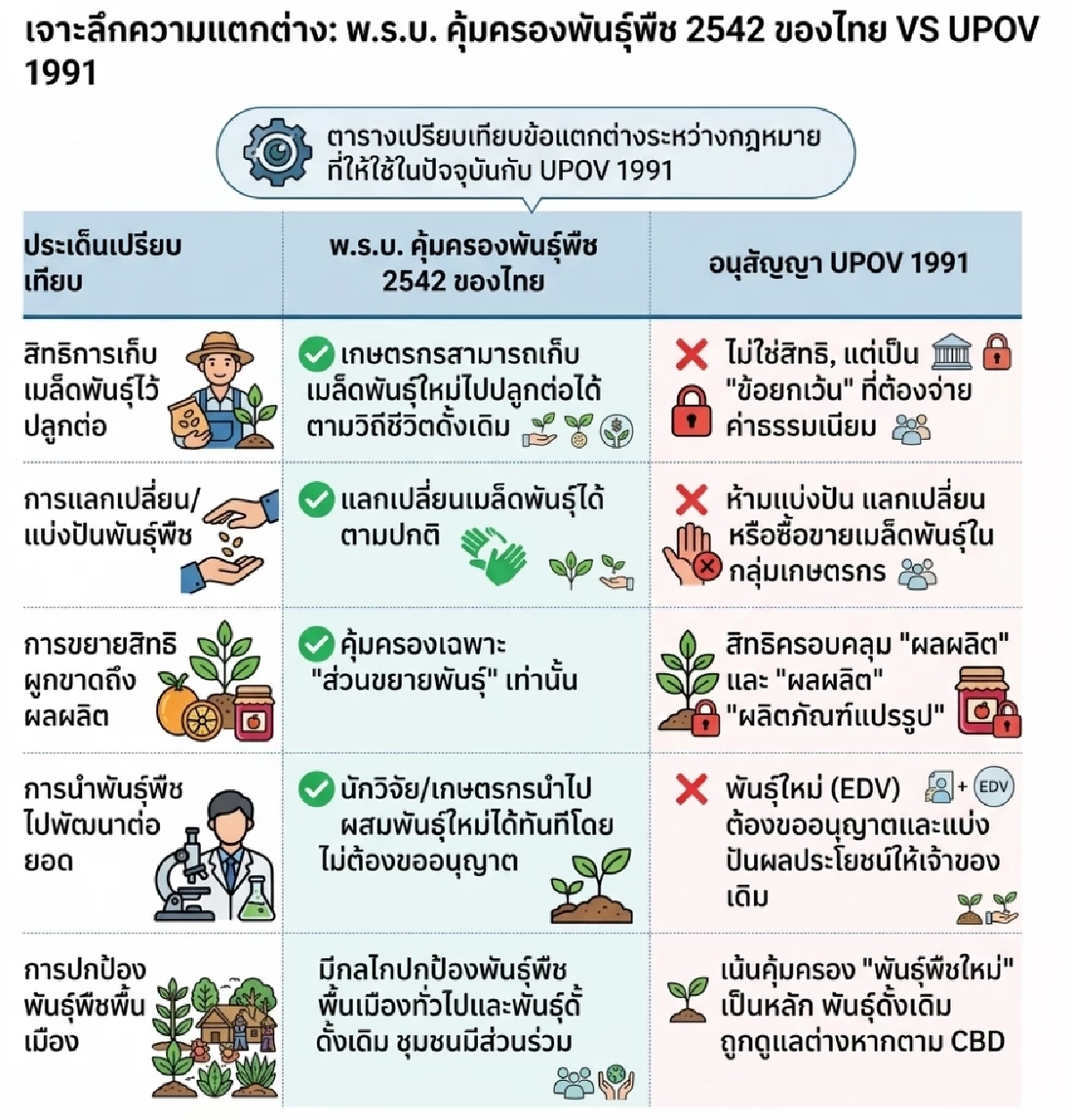 ชำแหละ UPOV 1991 คืออะไร? เก็บเมล็ดพันธุ์ไว้ปลูกต่ออาจติดคุก?