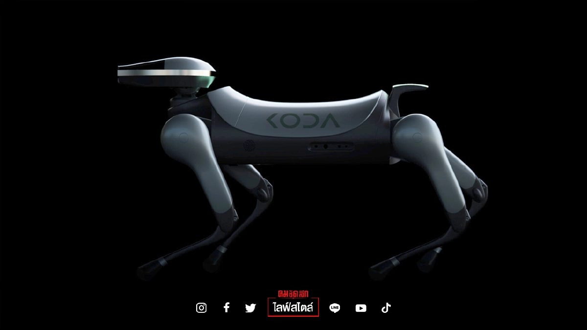 ทำความรู้จัก โคต้า "หุ่นยนต์น้องหมา" ที่สอนการบ้านลูกคุณได้