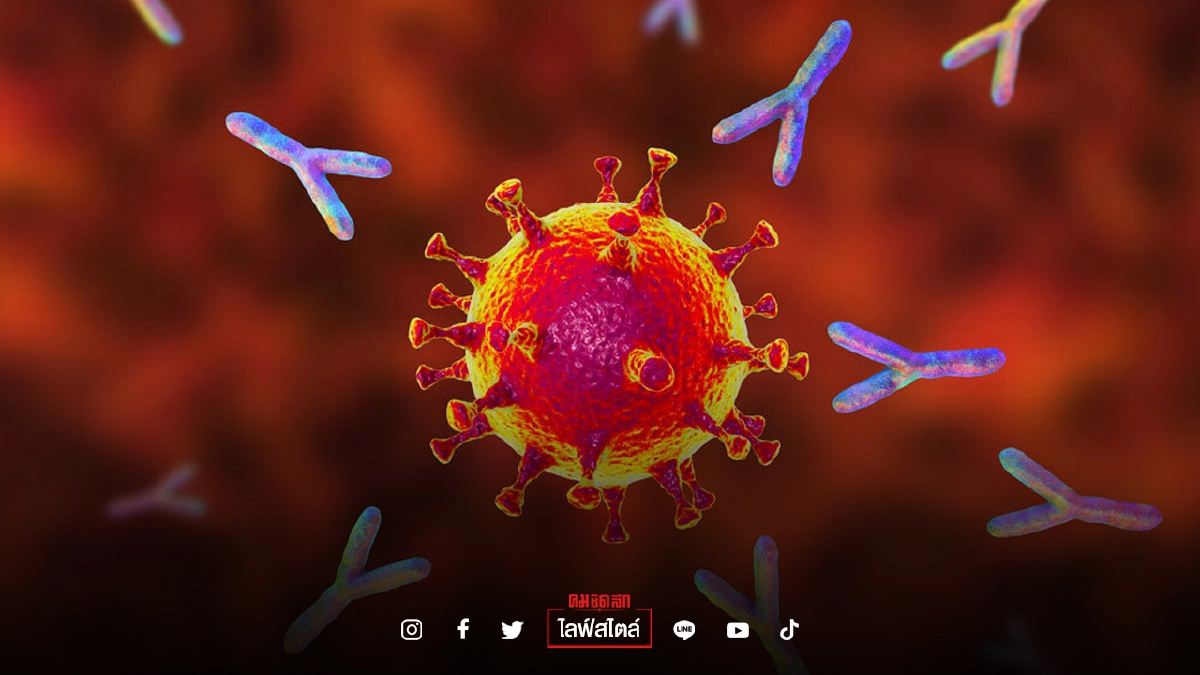 แอนติบอดี้ช่วยป้องกัน "โควิด-19" อย่างไร