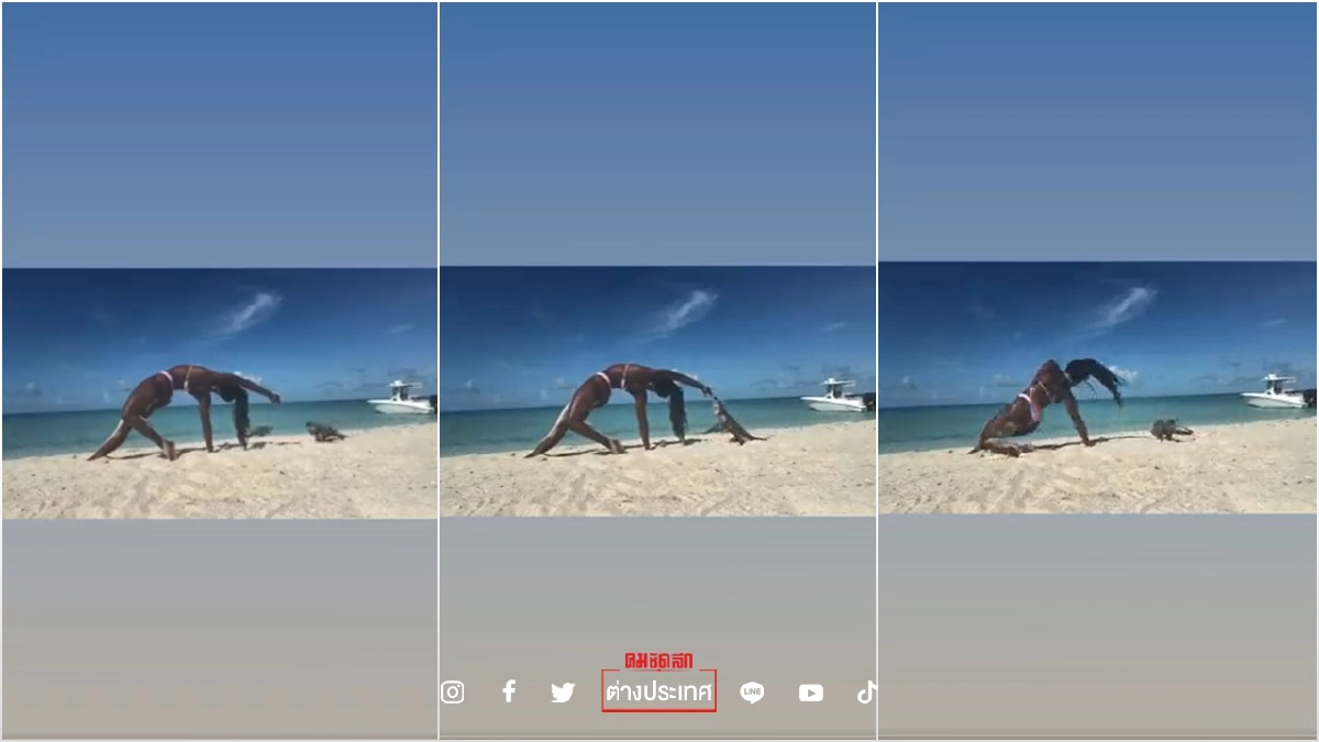 สาวเล่นโยคะบนชายหาด “อีกัวนา”วิ่งมากัดนิ้วจนเลือดออก (ชมคลิป)