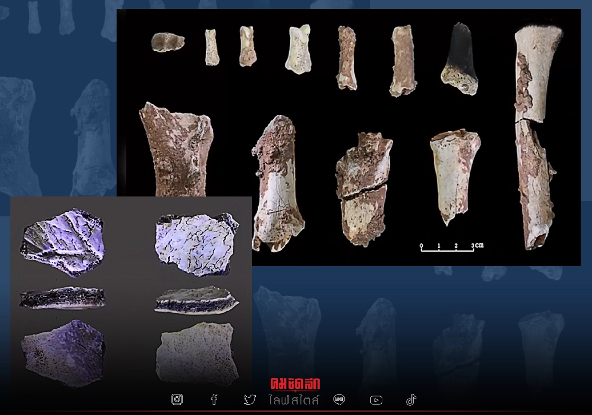 พบ "ฟอสซิล" กะโหลกศีรษะมนุษย์นาน 3 หมื่นกว่าปี ที่ประเทศจีน