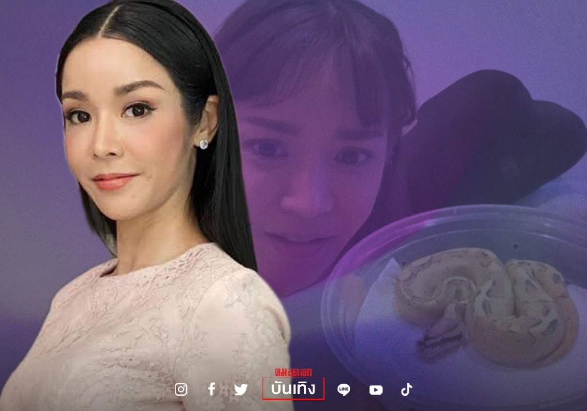 “นุ๊ก สุทธิดา” อวดสัตว์เลี้ยงแสนน่ารัก สวย ใจดี สีส้ม “นุ๊ก สุทธิดา” อวดสัตว์เลี้ยงแสนน่ารัก สวย ใจดี สีส้ม