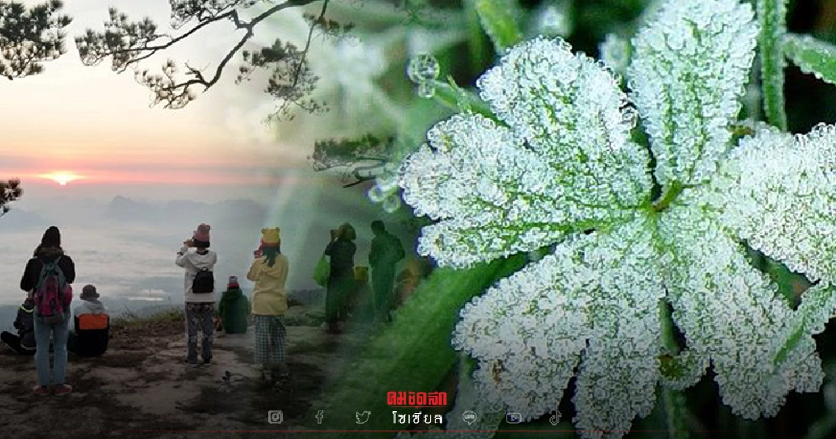 กรมอุตุนิยมวิทยา ประกาศ ไทยเข้าสู่ "ฤดูหนาว" 2 พ.ย. นี้ ยาวไปถึงปลาย ก.พ. 65