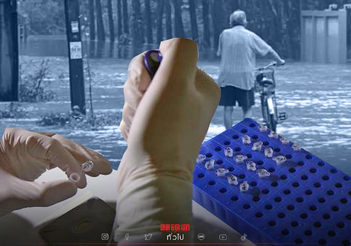 ยาโรคระบบประสาท เก็บอย่างไร ให้คงคุณภาพในช่วง "น้ำท่วม"