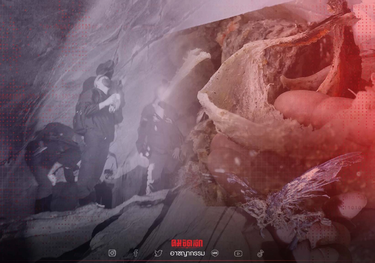 ด่วน ศาลพัทลุง อนุมัติ "หมายจับ" คดี "ขโมยรังนก" จนท.อส.-พลเรือน 6 ราย ร่วมแก๊ง ด่วน ศาลพัทลุง อนุมัติ "หมายจับ" คดี "ขโมยรังนก" จนท.อส.-พลเรือน 6 ราย ร่วมแก๊ง