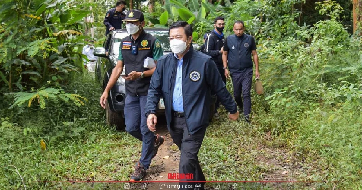อธิบดี "DSI" ลงพื้นที่ "ป่าสงวน" แห่งชาติป่าบางขนุน