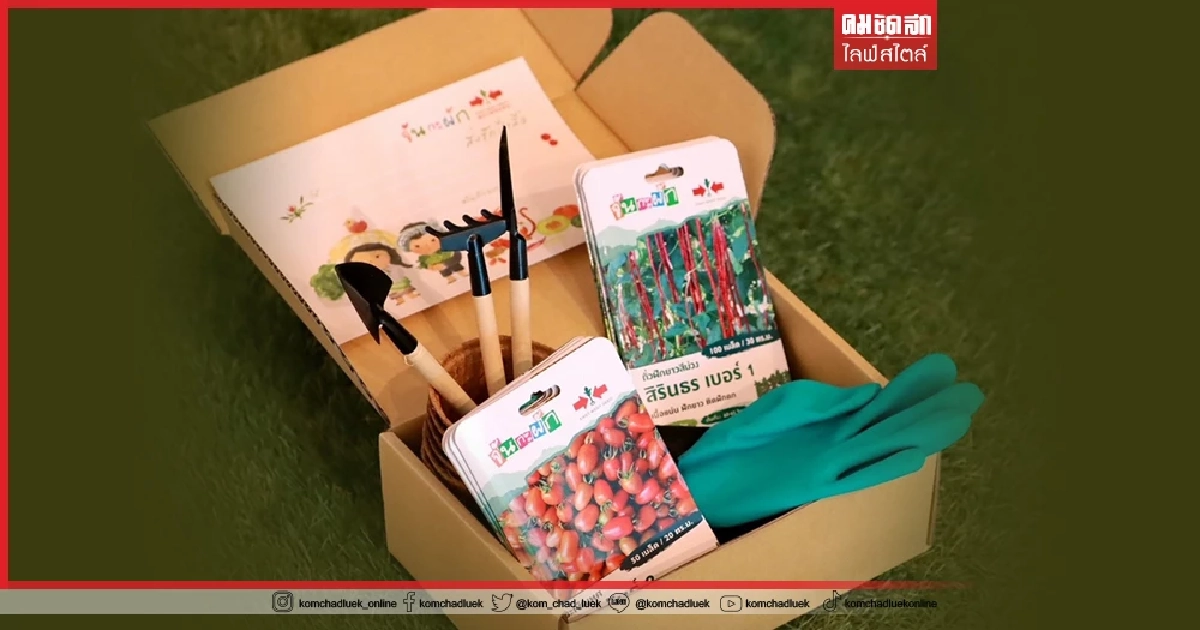 ชุดปลูกผัก “จันกะผัก ส่งรักปีเสือ 2565” บุกตลาดของขวัญปีใหม่