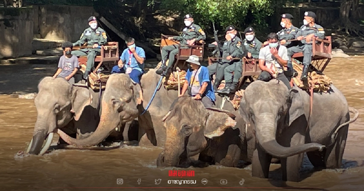 ตำรวจ "ขี่ช้างล่องแก่ง" ปางช้างแม่ตะมาน ตะลุยสำรวจ เส้นทางท่องเที่ยว