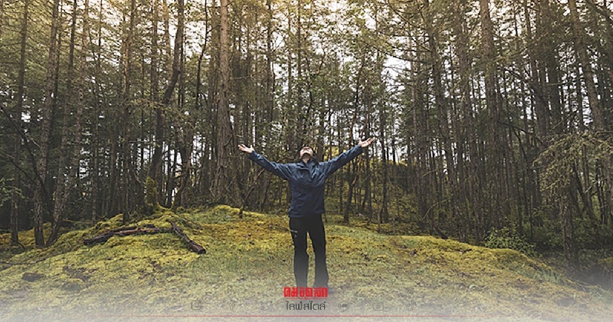 ถ้า "เดินป่า" เราจะได้ออกกำลังกาย แต่ถ้า "อาบป่า" เราจะได้กำลังใจ