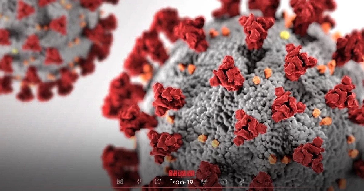 "โควิดวันนี้" ติดเชื้อใหม่ 5,126 เสียชีวิตเพิ่ม 53 กำลังรักษา 83,093 ราย "โควิดวันนี้" ติดเชื้อใหม่ 5,126 เสียชีวิตเพิ่ม 53 กำลังรักษา 83,093 ราย