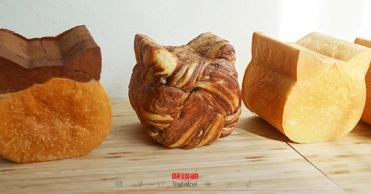 ขนมปังอบสดใหม่ อร่อย-น่ารัก จนทาสแมวต้องกรี๊ด!!!