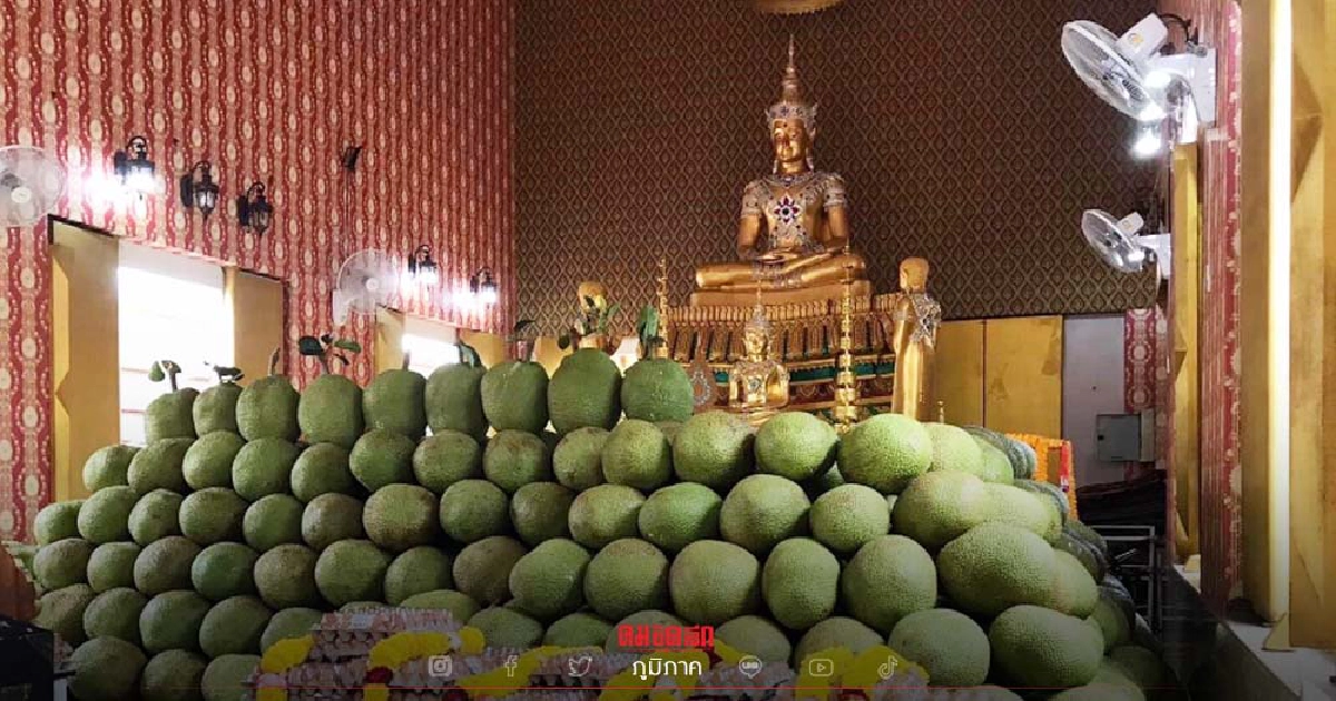 ขนุน 9 ตัน "แก้บน" หลวงพ่อสมหวัง วัดหนองงูเหลือม หลังขายที่ดินได้ภายใน 3 วัน