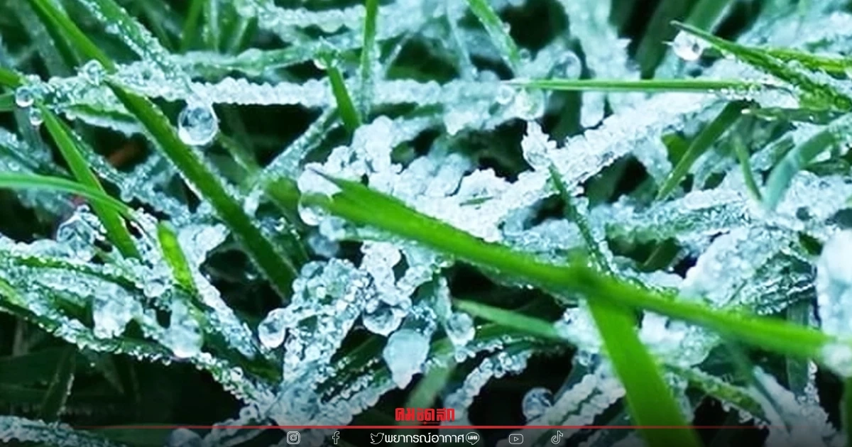 "พยากรณ์อากาศวันนี้" หนาวจัด 7 องศาฯ แม่คะนิ้งยังมีให้ไปเที่ยวดูที่ไหนได้