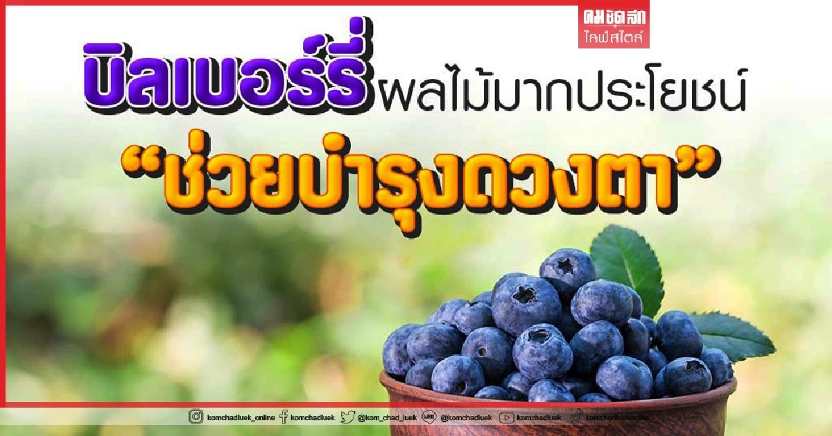 "บิลเบอร์รี่" ผลไม้มากประโยชน์ช่วยดูแลดวงตา "บิลเบอร์รี่" ผลไม้มากประโยชน์ช่วยดูแลดวงตา