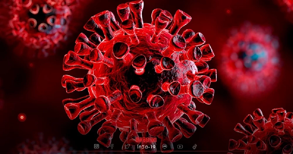 "โควิดวันนี้" ติดเชื้อใหม่ 4,912 เสียชีวิตเพิ่ม 33 กำลังรักษา 72,761 ราย "โควิดวันนี้" ติดเชื้อใหม่ 4,912 เสียชีวิตเพิ่ม 33 กำลังรักษา 72,761 ราย