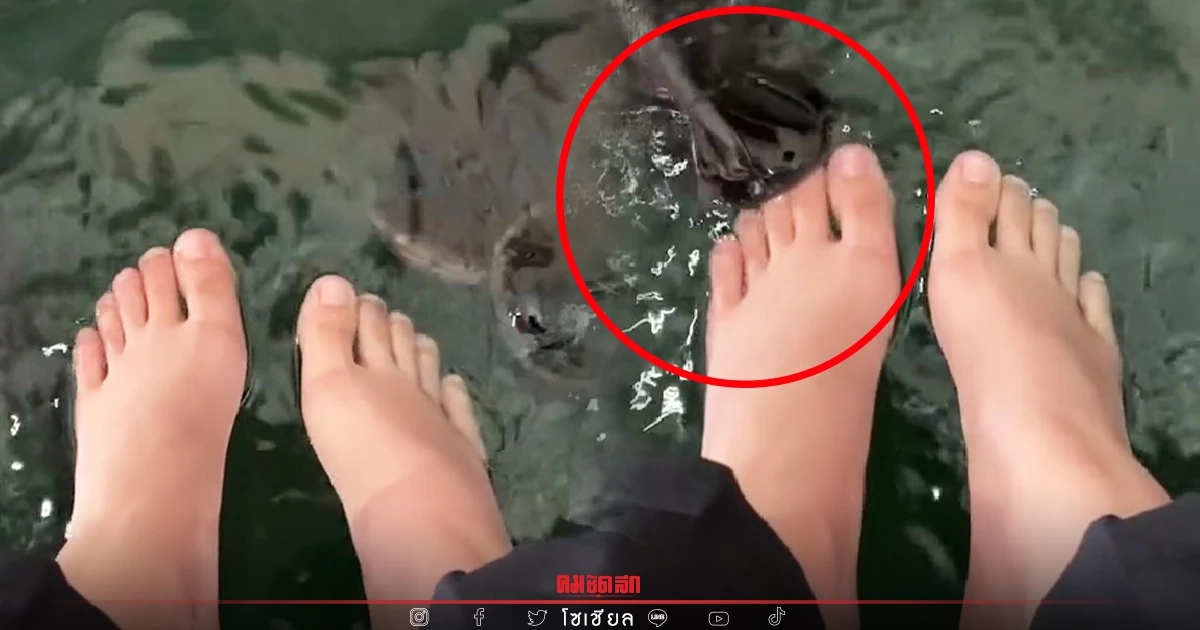 สาวก "สปาปลา" มีสะดุ้ง สาวขอนั่งเพลิน ๆ แต่เกือบทำนิ้วเท้าหายไปแล้ว (คลิป)