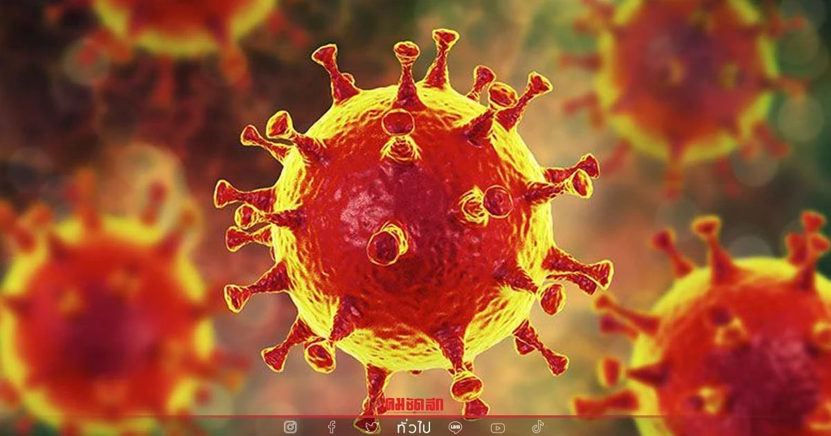 ยอดพุ่งไม่หยุด ไทยเจอติดเชื้อ "โอไมครอน" 514 ราย คลัสเตอร์กาฬสินธุ์ 125 ราย ยอดพุ่งไม่หยุด ไทยเจอติดเชื้อ "โอไมครอน" 514 ราย คลัสเตอร์กาฬสินธุ์ 125 ราย