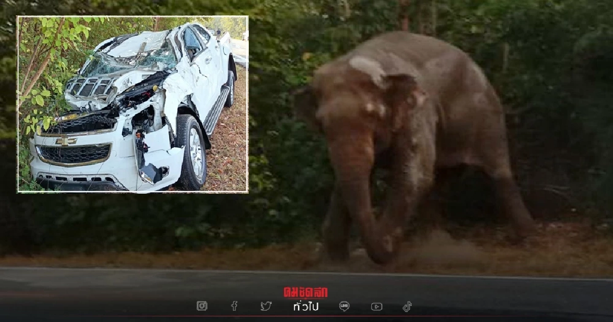 ซิ่งกระบะ "ชนช้างป่า" เขตรักษาพันธุ์สัตว์ป่าสลักพระ รถพังยับ บาดเจ็บ2