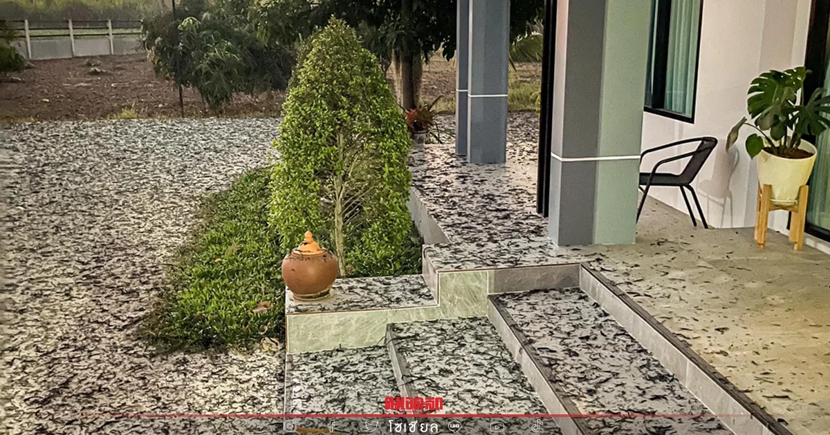 "เผาอ้อย" เป็นเหตุ หนุ่มขอนแก่นมีผงะ หลังเจอเขม่าดำเต็มหน้าบ้าน