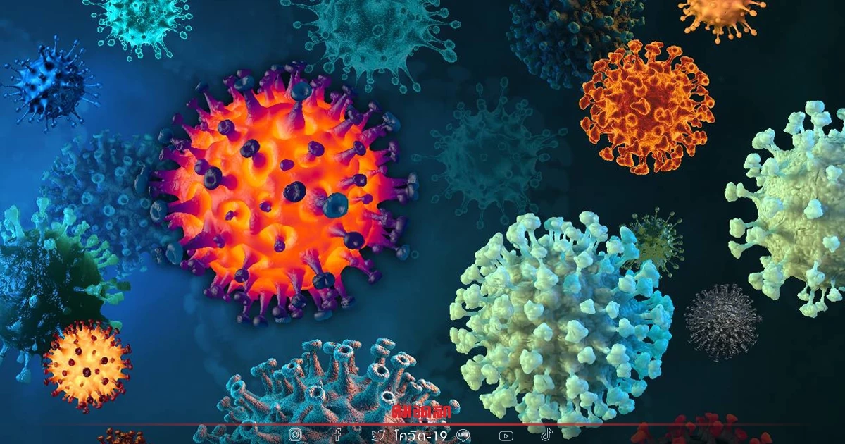 "10 จังหวัดติดเชื้อสูงสุด" กทม.376 ชลบุรีอ่วมเชื้ออันดับ 1
