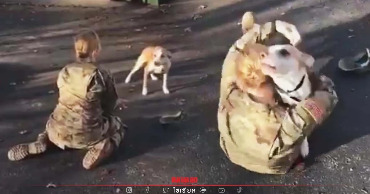 "น้องหมา" จำไม่ได้ โมเมนต์ห่างนายไปสงคราม สุดพีคกลิ่นนี้แหละใช่เลย (คลิป)