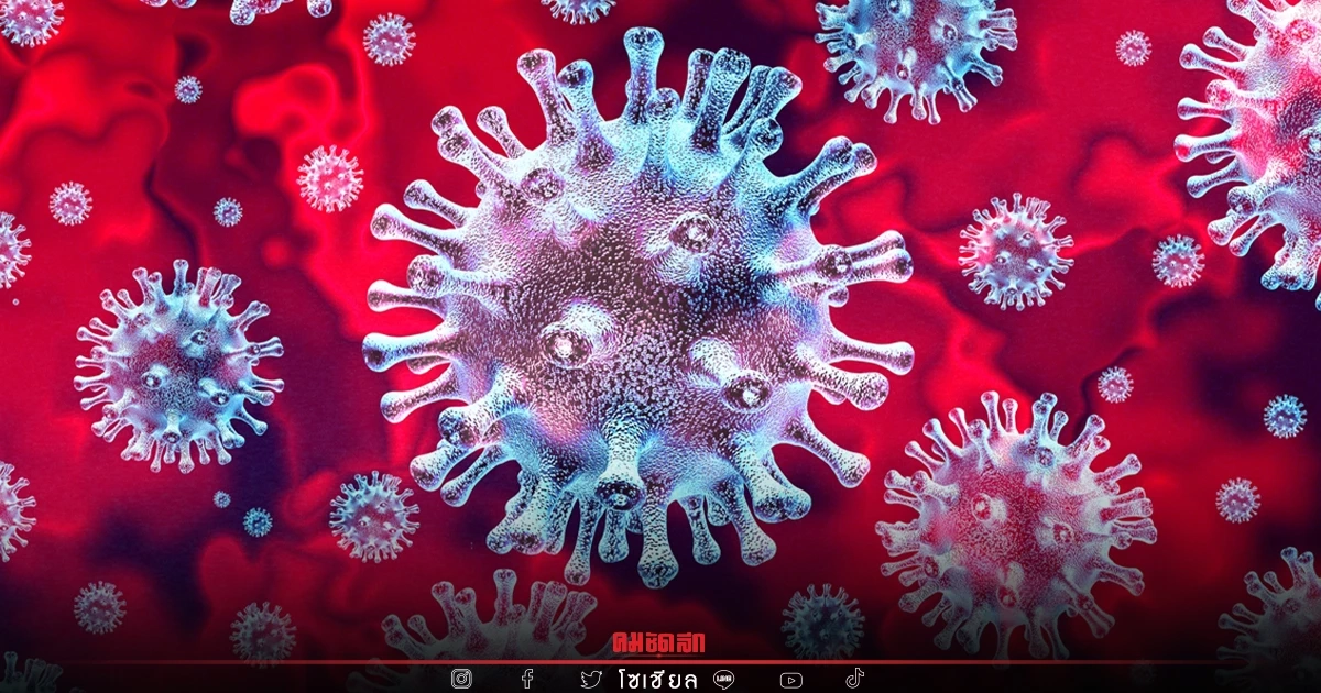 "ATK" จุดตรวจโควิด เชียงใหม่ มีที่ไหนบ้าง เช็คลิสต์สายด่วน ติดเชื้อโทรเลย