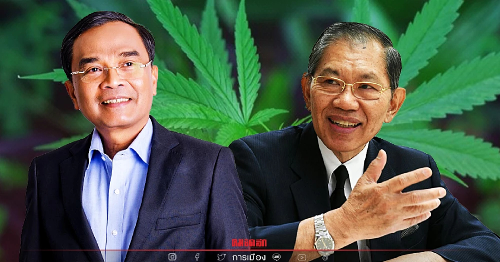 งงกันไปทั้งแผ่นดิน นโยบาย "ปลูกกัญชาเสรี" ทำได้หรือไม่