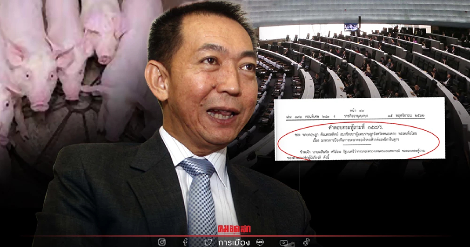 1.25 แสนล้านเสียหายมหาศาลหากหมูติด โรคASF เปิดคำชี้แจงเฉลิมชัย ลงราชกิจจาฯ