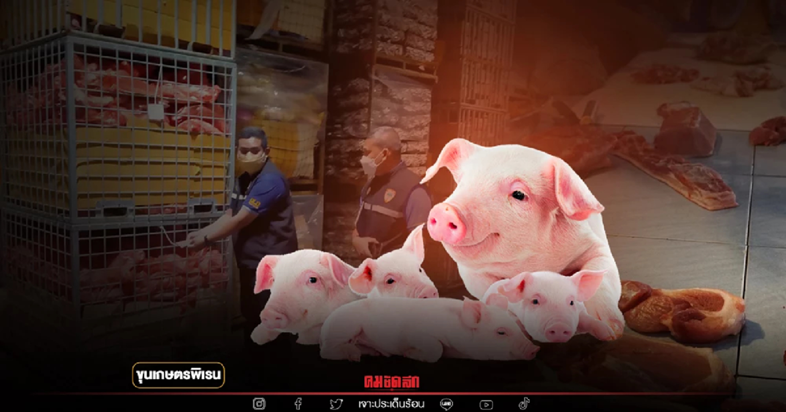 สต็อกหมูที่ถูกจับได้ไม่เว้นวัน ส่งสัญญาณอวสานหมูเขียงกำลังเริ่มต้น