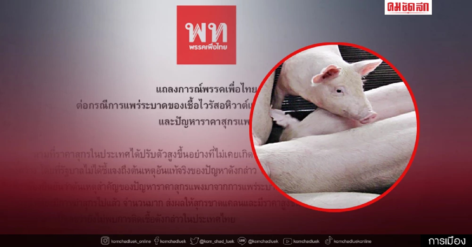 พท.ออกแถลงการณ์จี้รัฐบาลออกประกาศ ASF ใน "สุกร" ระบาด-สกัดเชื้อแพร่กระจาย