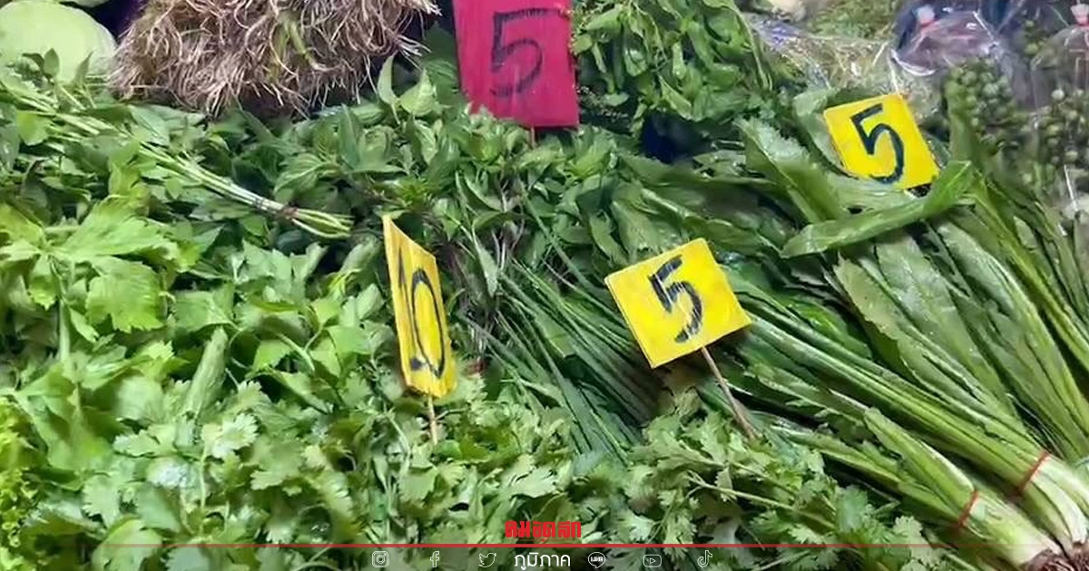 พ่อค้าแม่ค้าตลาดลุงหนู "ตรึงราคาสินค้า" พืชผัก 5 บาท 10 บาท ช่วยกันให้อยู่ได้ พ่อค้าแม่ค้าตลาดลุงหนู "ตรึงราคาสินค้า" พืชผัก 5 บาท 10 บาท ช่วยกันให้อยู่ได้