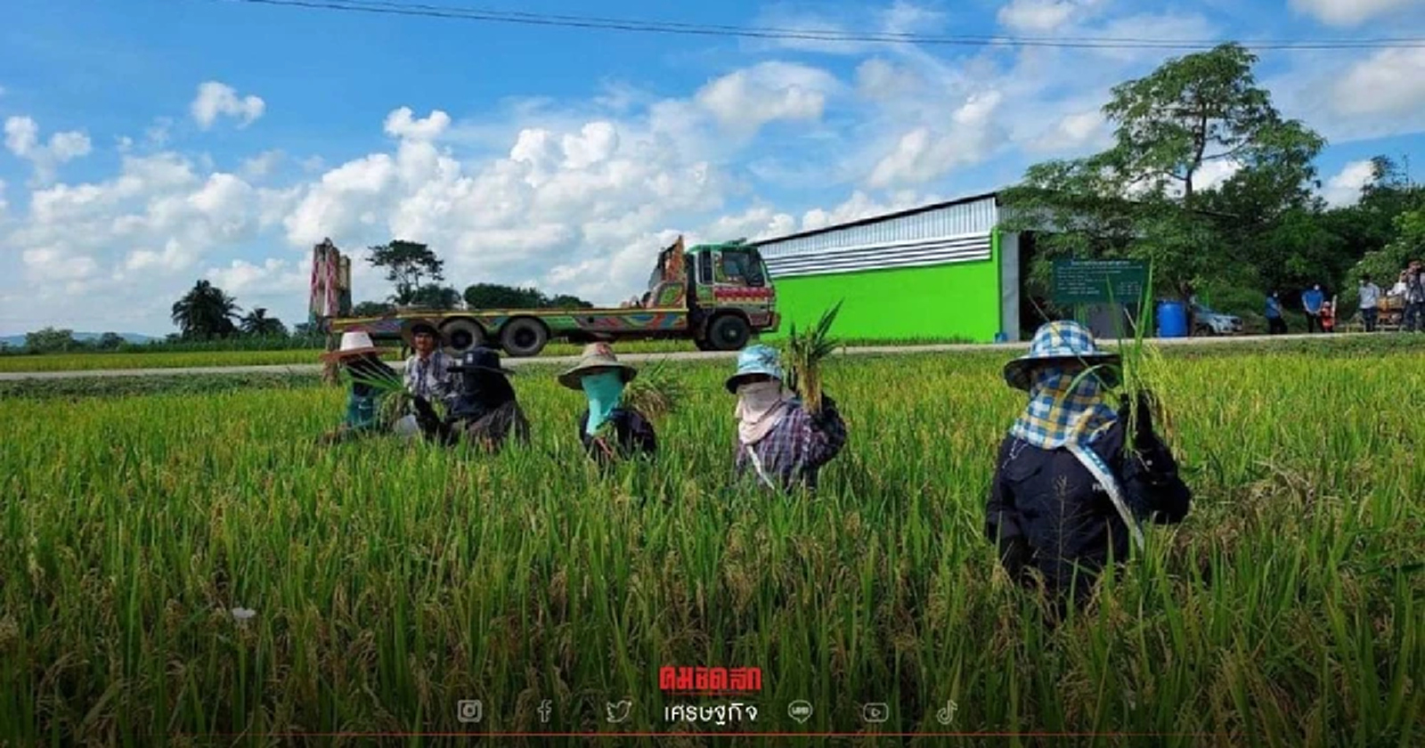 "แปลงใหญ่ข้าว" บ้านกระบวยทองใต้ ต่อยอดสู่การแปรรูปสร้างรายได้มั่นคง