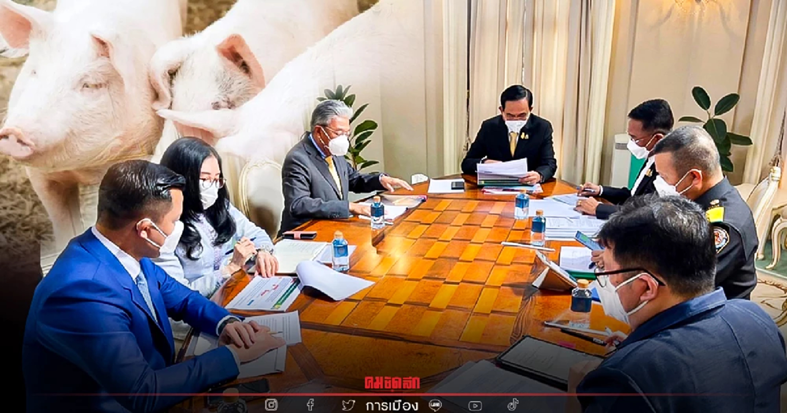 "นายกฯ" สั่งอธิบดีปศุสัตว์ เร่งควบคุมอหิวาต์หมู-ฟื้นฟูผู้เลี้ยงหมู