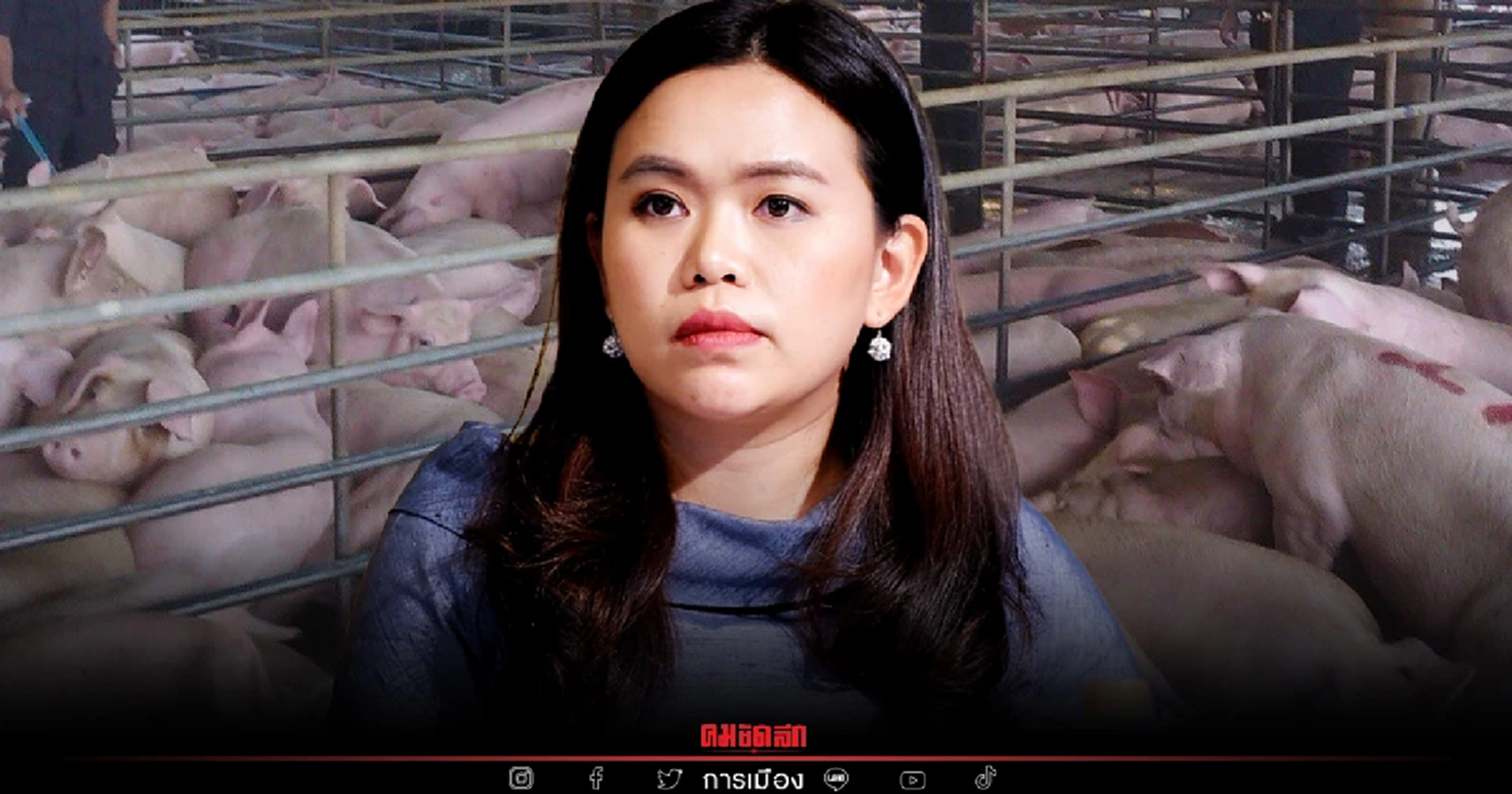 นายกฯ สั่งกรมปศุสัตว์เร่งจ่ายเงิน 574.11 ลบ. เยียวยาเกษตรกรผู้เลี้ยงหมู