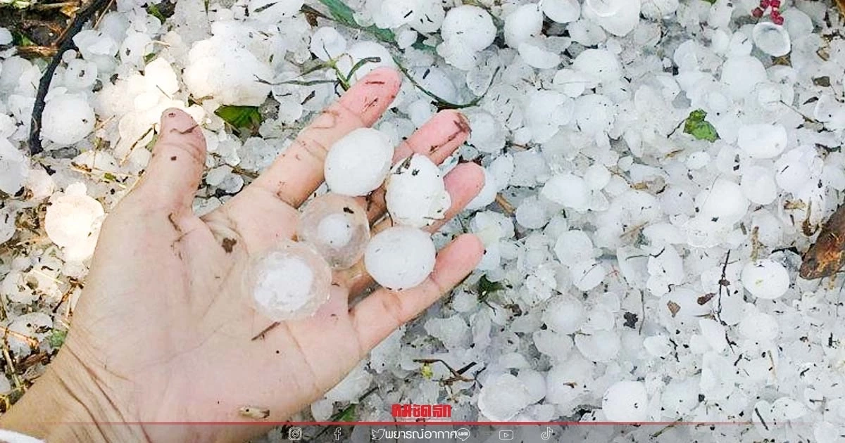 "พยากรณ์อากาศวันนี้" ฝนตก ลมกระโชกแรง ไปจนถึงฟ้าผ่า มีลูกเห็บบางแห่ง "พยากรณ์อากาศวันนี้" ฝนตก ลมกระโชกแรง ไปจนถึงฟ้าผ่า มีลูกเห็บบางแห่ง