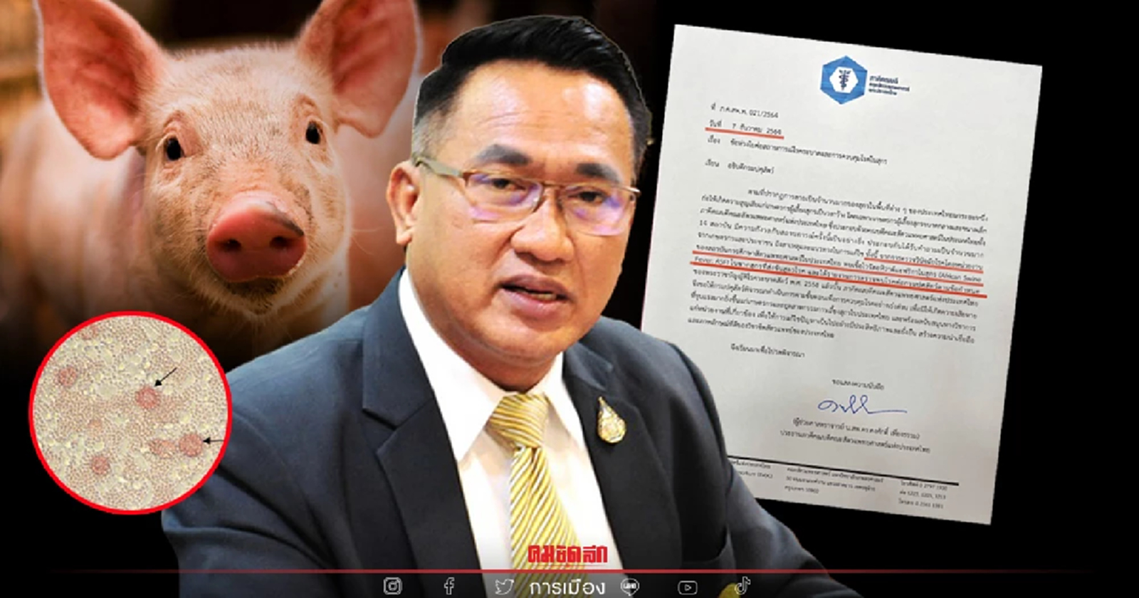 "อธิบดีปศุสัตว์" ยันไม่เห็นหนังสือพบเชื้อASFในหมู ตั้งกก.สอบข้อเท็จจริง