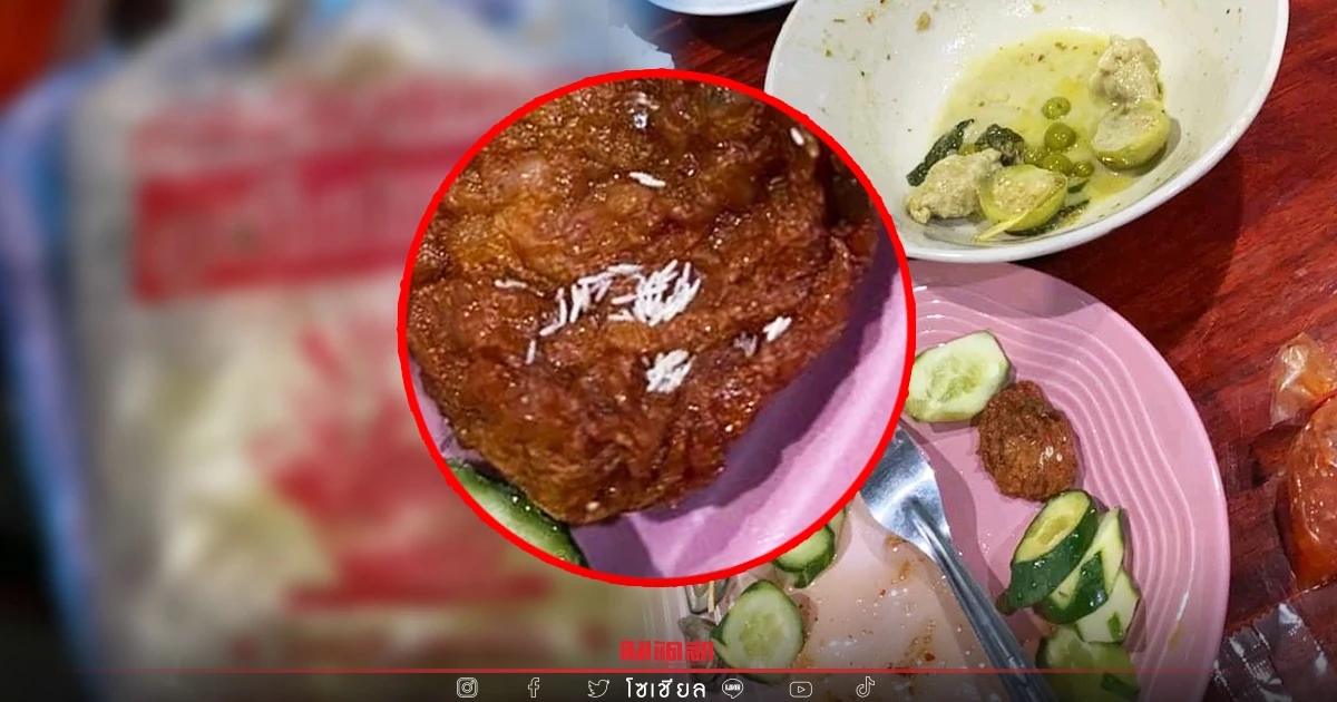 กินไปแล้วด้วย รับผิดชอบยังไง "แม่ลูกอ่อนอ้วกแทบพุ่ง" ไข่แมลงวันเต็มทอดมัน กินไปแล้วด้วย รับผิดชอบยังไง "แม่ลูกอ่อนอ้วกแทบพุ่ง" ไข่แมลงวันเต็มทอดมัน