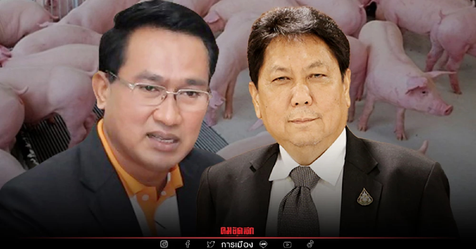 หมูแพงพ่นพิษ เพื่อไทยเล็งแจ้งความดำเนินคดีเอาผิดอธิบดีกรมปศุสัตว์
