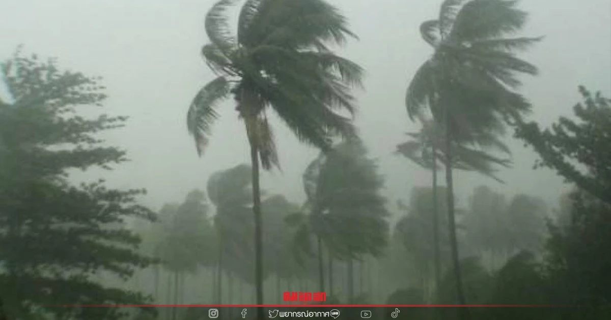 "พยากรณ์อากาศวันนี้" เหนือเจอฝนตก ลมกระโชกแรง วอน ปชช. อย่าอยู่ที่โล่งแจ้ง