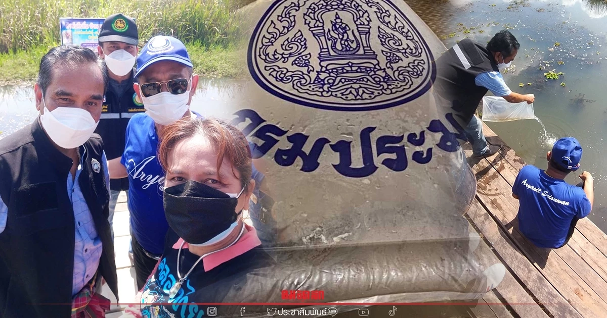 "ปลาดุกลำพัน" เร่งคืน "ป่าพรุควนเคร็ง" หลังพบเกือบสูญพันธุ์ในท้องถิ่น "ปลาดุกลำพัน" เร่งคืน "ป่าพรุควนเคร็ง" หลังพบเกือบสูญพันธุ์ในท้องถิ่น